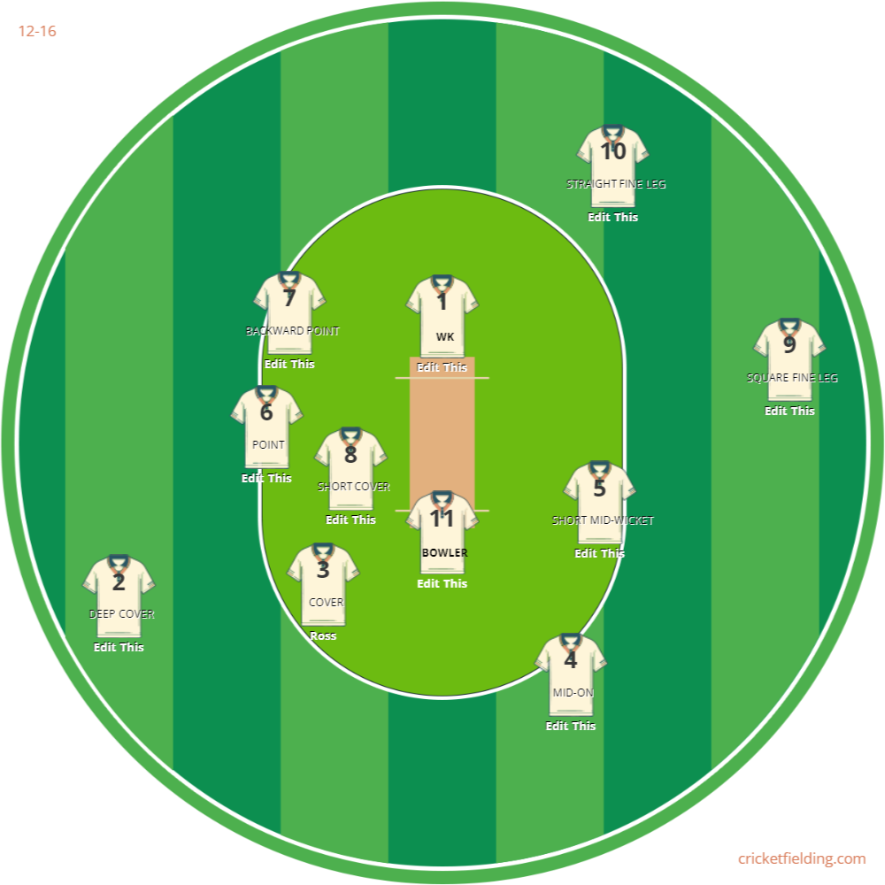 Cricket Fielding Interactive Cricket Fielding Planner & Strategy Tool